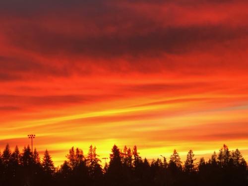 2023/03/f0d96f53d7e4b5ef26cb0f201231e5a8