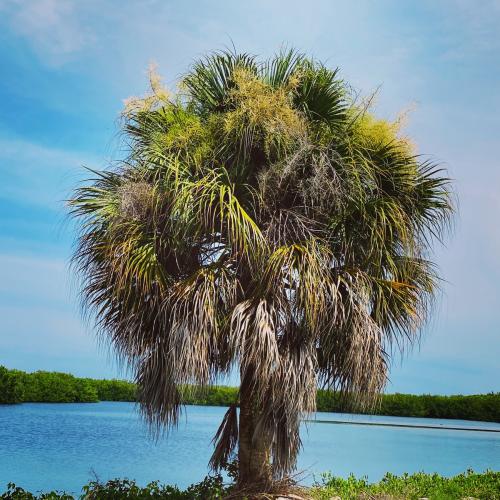 693F6A64-7A80-4FF2-9EE5-B8433976E059