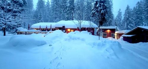 inbound4832390536100397443