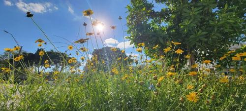 63815651-B75D-45AC-B317-A171803370BC