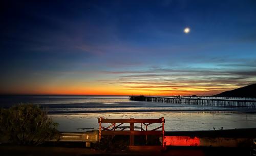 160A91B4-E0E8-4A9D-9313-1D9DCFA98D2D