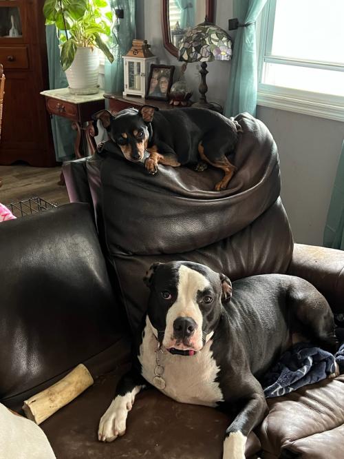 80F83474-E1B0-44FC-8574-DCBC26B20081