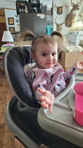 5331e74b-d280-485a-b512-d0e49e589f69