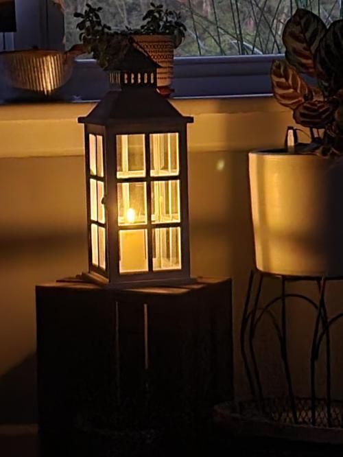 5ff3e869-74f2-4bc6-a689-1128cc32b662