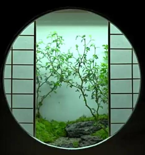 020f3d20-0c70-4576-a989-6df85adc6ec2