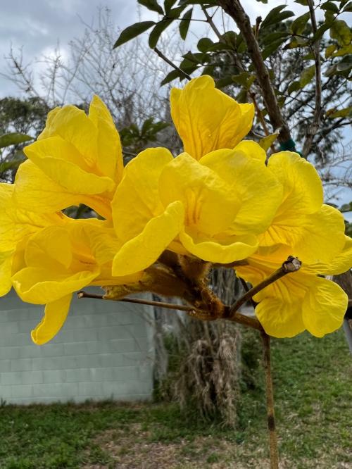 7894D2E6-FD9B-476D-9826-6DFD26F4AE3B