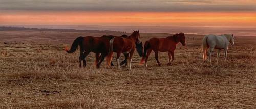 02D41428-C90E-4E72-AB25-90A5F25D8792