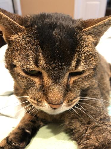 595C0824-EA49-4ACA-9084-D97F63618128