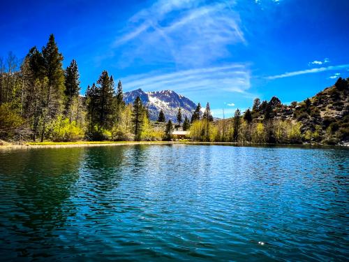 2237C4A7-C9B6-4566-A632-AAA7943AEF38