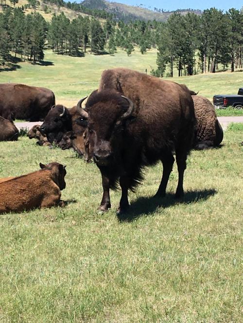 E4075259-E47B-44E5-9B80-59FBB1A930E1