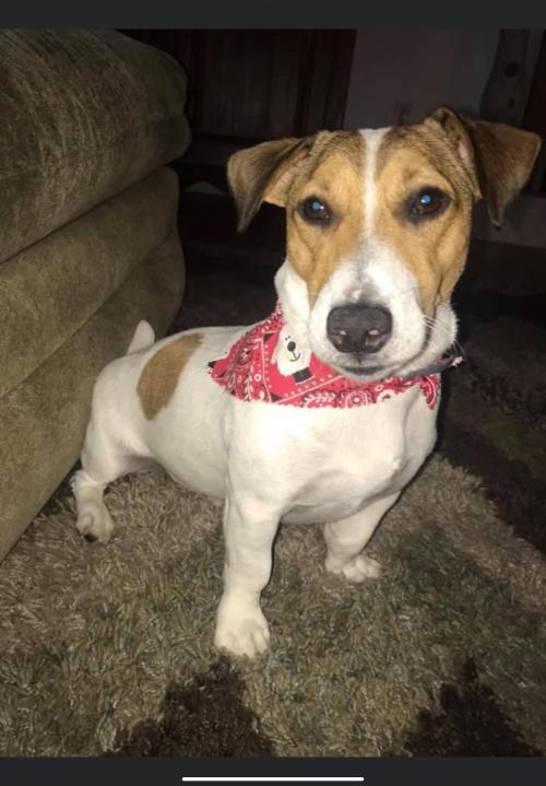 EBFC4300-4144-4B7D-85E1-F77A3910E1C4