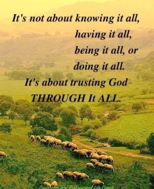 6f3c3dc3-b218-440e-88e5-73169d52b097