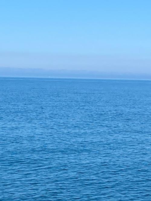 2F804EA5-A00E-44BB-BC19-5E7529E25C11
