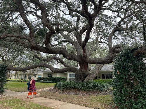 BC90F5B2-C33C-4E9E-BA0E-FEFC0FAE8972