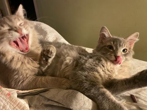 7D994931-BE58-4EF0-B287-DC6362BA9525