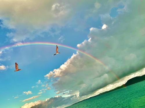 0B48F51E-FBAD-4A3F-B300-330E957F6ABA