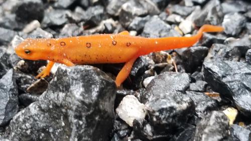 4a57877d-aeb2-46b6-9fb9-ece32200c50e