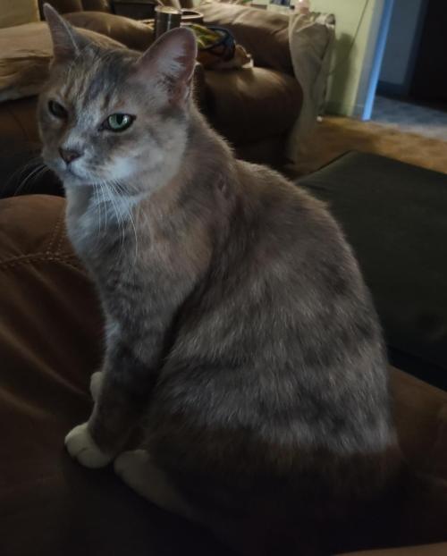 5089ae22-e75a-42a0-9b65-aec9be54cf25