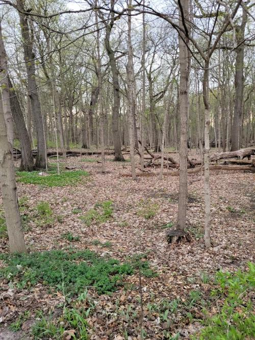 147cd4dc-348a-4fd9-9206-e895f0cf2105