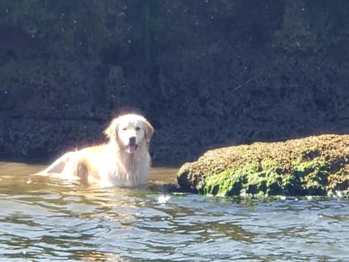 65cf949c-fd11-44d3-ad70-b849b076f2a2