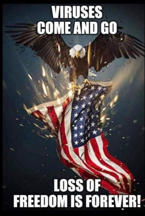 c7717b83-8b55-40f3-805a-4a043e683e92