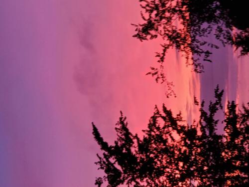 661e10e6-da82-47b4-9528-2f72a3e9ea29