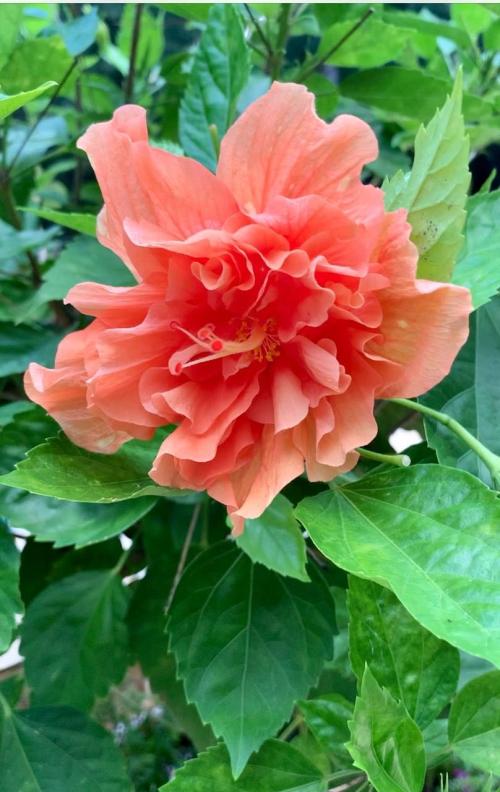 78C41908-6547-49EF-B42B-80C74B576BFF