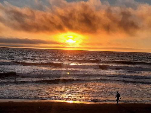 18a568c3-4fb1-43cb-a2c8-a991aef96dad