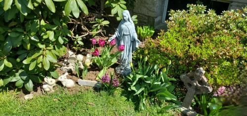 ea9065a2-7544-46e9-89a7-593a3cc44642