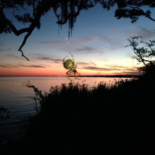 17E18720-DEC1-4142-AEFC-AE072840D473