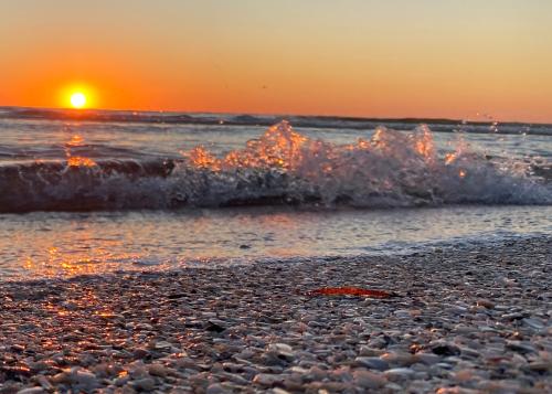 94C9CCBE-9478-4260-8192-65EA137DEF10