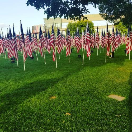 3d669c91-9286-4d21-a482-6c0df74946e8