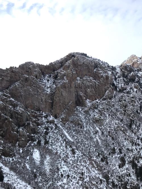 C61D37C0-7583-4ADF-9808-97BB461D9A79