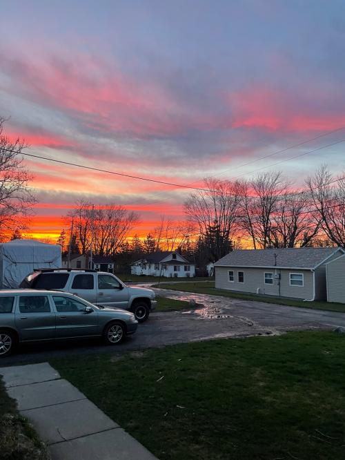 50CC0AC2-4D16-4023-A266-76A851F56258