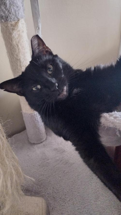 978232ea-2881-4cb5-a5cb-542ce8d4532f