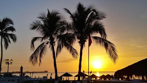 a47003c3-ac71-4383-81d6-e42571892f92