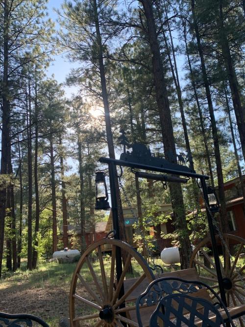 D3641310-4877-4A06-B445-BAE29CF86496