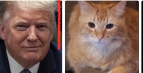 831F520E-556E-481B-827D-EE5087C7156A