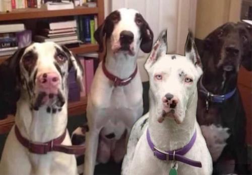 022249CC-1F84-47B2-ACF4-77906EF7F639