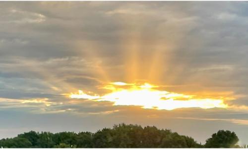 6E9C627D-4B7A-44BA-A234-06102610E67D