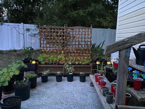 E3731C1E-7452-4F7C-BA3E-AD0A11DC60B4