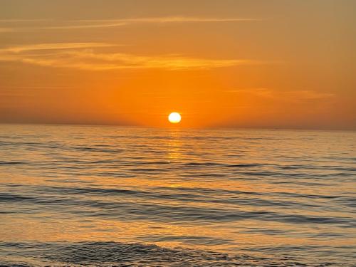 7308CD4E-BF83-44FA-A2A4-4CF6826FE48F