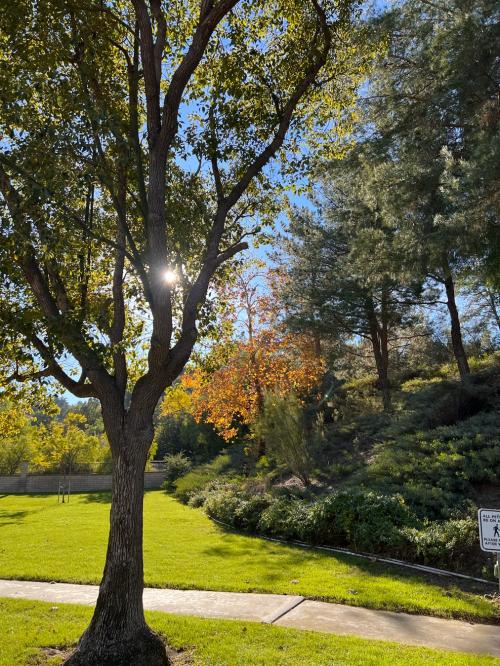 68B52C57-9713-4128-8ED2-BE01EADB394C