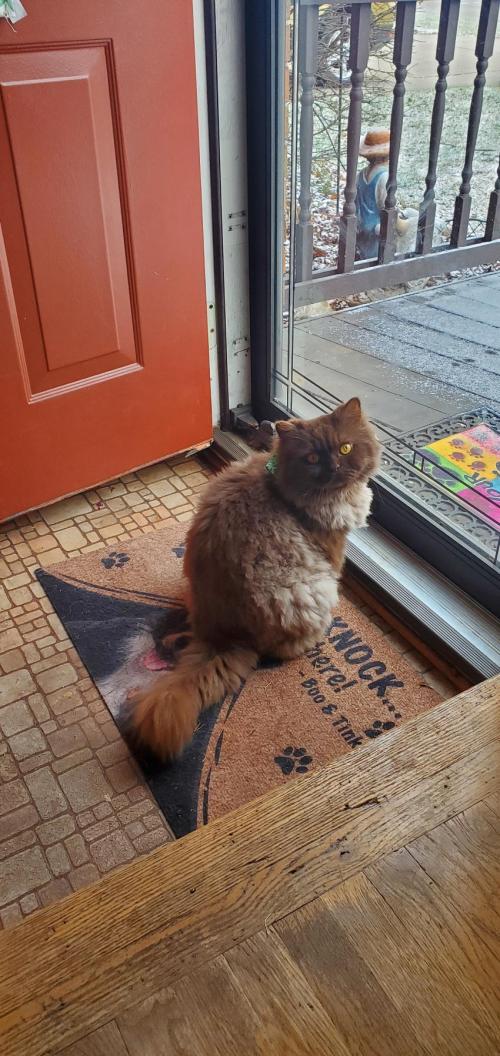 b25f43b9-3c22-44e1-9496-74c42142efba