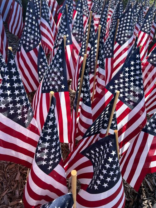 25A505DB-277B-4284-83F7-8CE4011B1B94