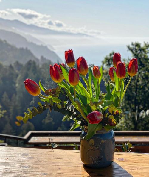 B7A402E4-E83B-4B1D-931F-7FF013DBB4E0