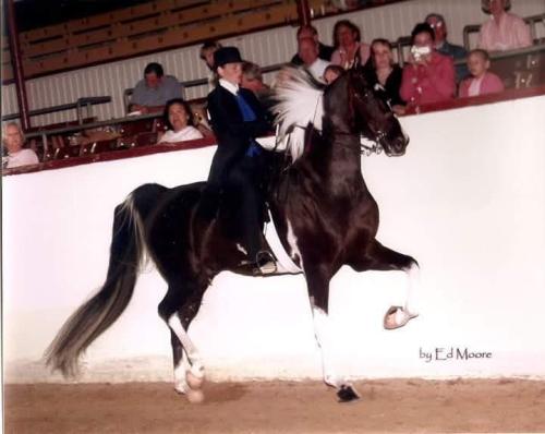 0ef83817-897c-482f-97de-5b99f30e61f4