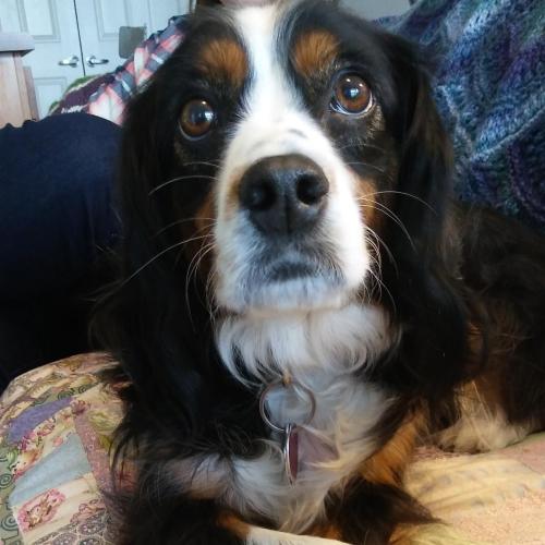 5e20cc92-a017-4007-82c3-1548dd29bc8f