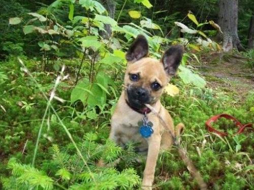 8dff2b85-40ce-4815-a3f6-5f9a363821f2