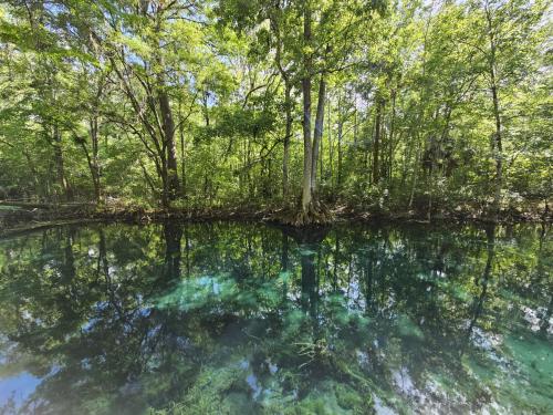 2f38fa4e-3a04-4532-81eb-9594217695b3